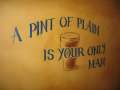 8132_Molly_Malone's_Irish_Pub