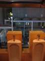 8133_Molly_Malone's_Irish_Pub_Ausblick