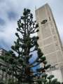 8172_World_Peace_Memorial_Cathedral