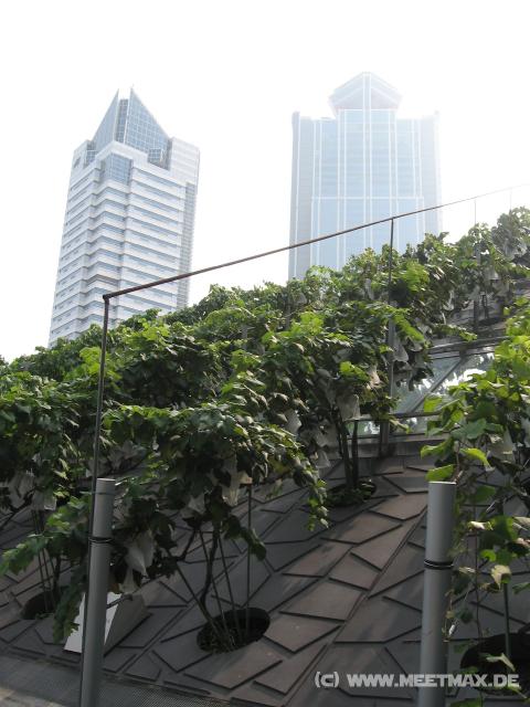 8666_Wine_Museum_Osaka