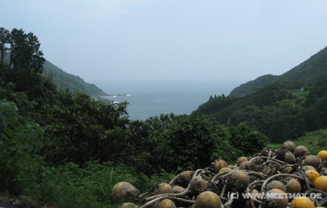 9039_Coast