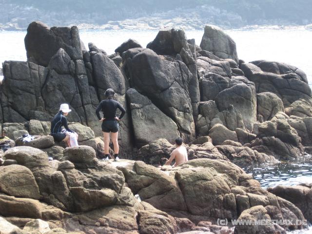 9052_Snorkeling