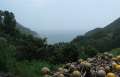 9039_Coast