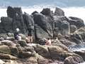 9052_Snorkeling