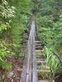 9160_Bridge