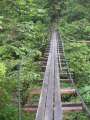 9161_Bridge