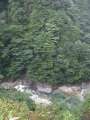 9182_River