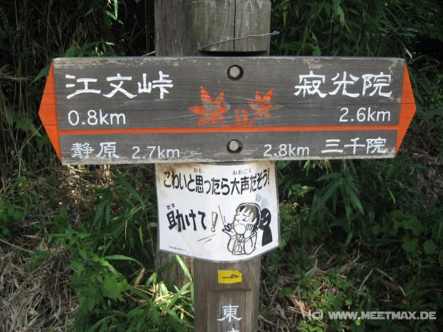 9456_Signs