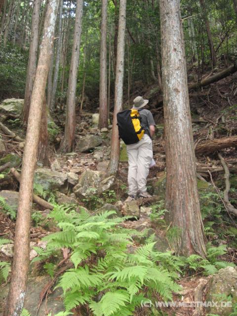 9461_Climbing_to_the_rocks