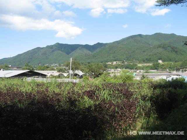 9523_View