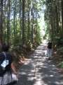 9457_Walking