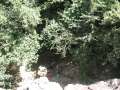 9496_Looking_down