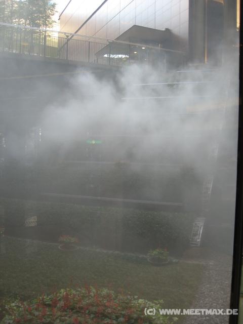 9633_Indoor_Nebel