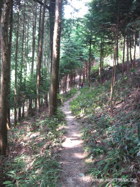 9719_Hiking