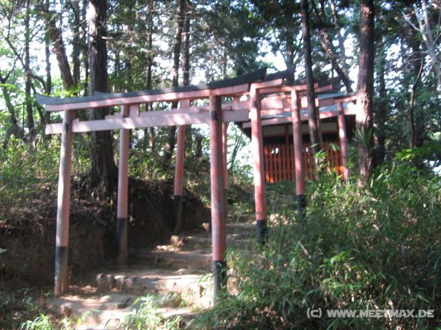 9746_Torii