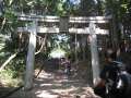 9712_Torii
