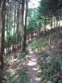 9719_Hiking