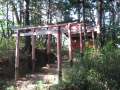 9746_Torii