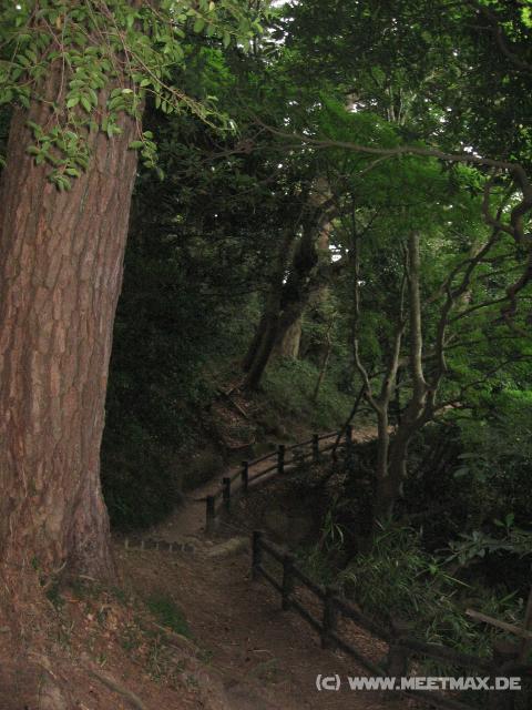 9967_Fukuura-Wege