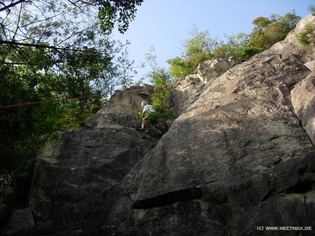 081_Minhao_on_the_tree