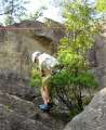083_Minhao_on_the_tree