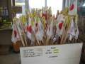 0258_Flagpole_and_walking_stick