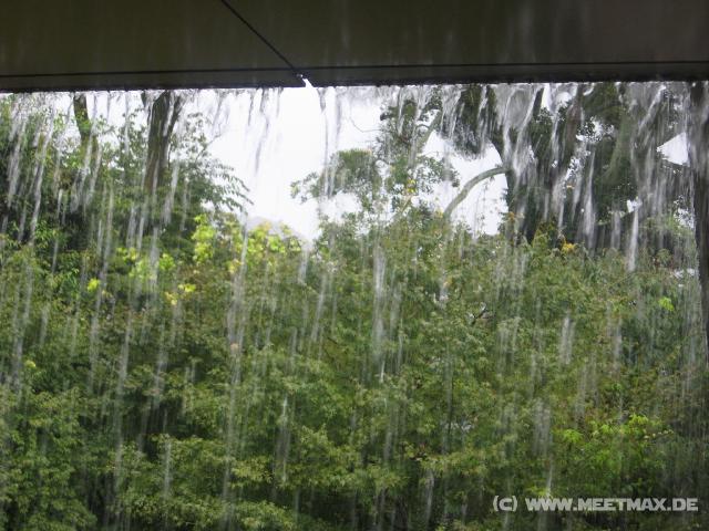 0694_Rain