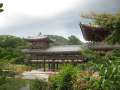 0680_Uji_Bjodoin_Temple