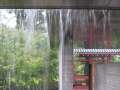 0693_Rain