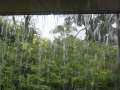 0694_Rain