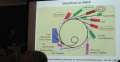 0809_J�rg_G�ttlicher