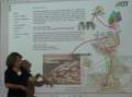 0833_Melissa_Denecke