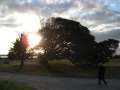 0847_At_St_Kilda