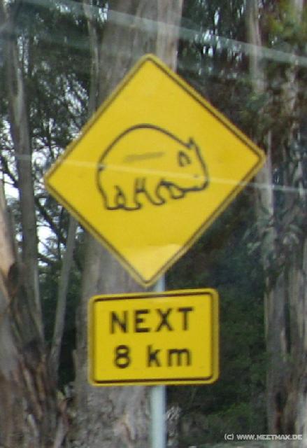 0933_Wombat_warning