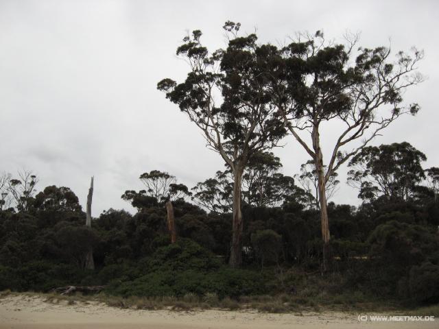 0967_Mayfield_Bay