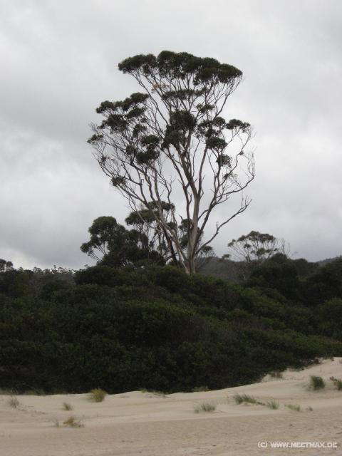 1005_Mayfield_Bay