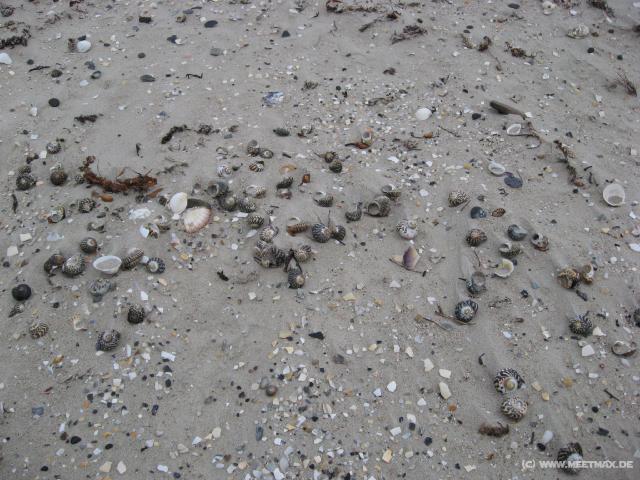 1006_Mayfield_Bay