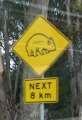 0933_Wombat_warning
