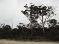 0967_Mayfield_Bay