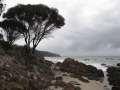 1008_Mayfield_Bay