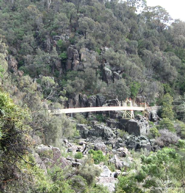 1214_Alexandra_suspension_bridge