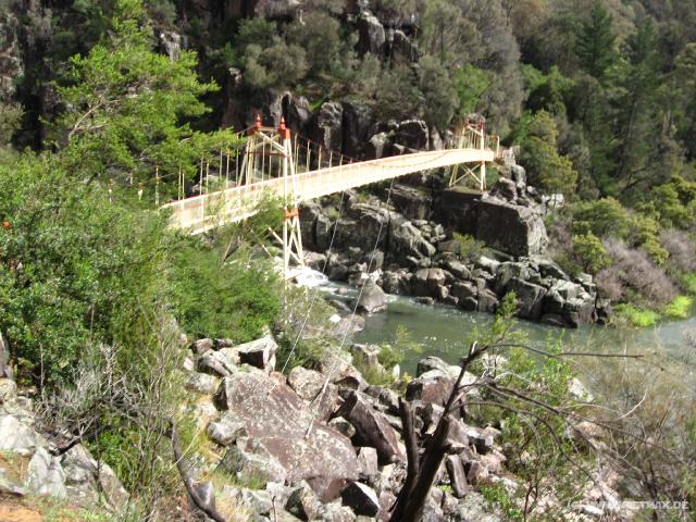 1217_Alexandra_suspension_bridge