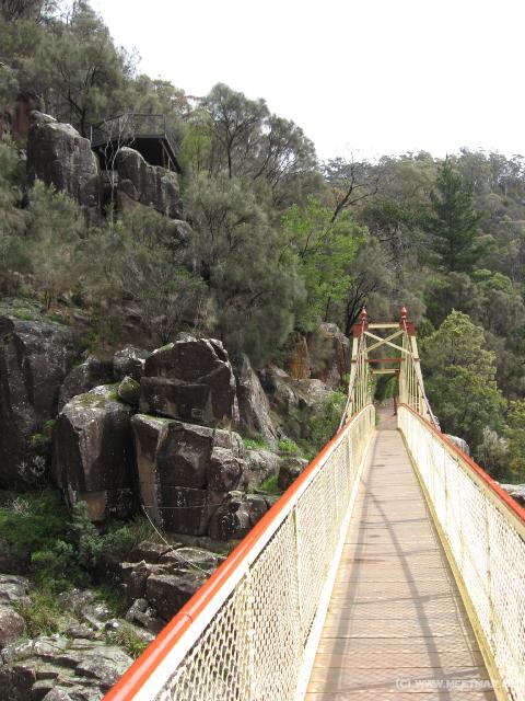 1222_Alexandra_suspension_bridge