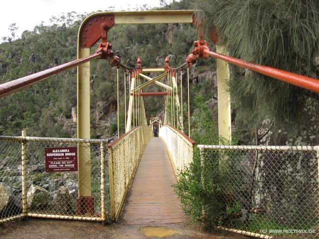 1224_Alexandra_suspension_bridge