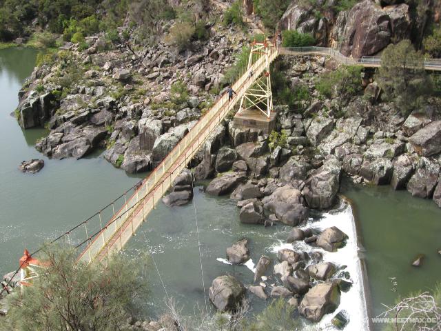 1225_Alexandra_suspension_bridge
