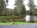 1194_Scottsdale_North_East_Park