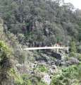 1214_Alexandra_suspension_bridge