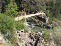 1217_Alexandra_suspension_bridge