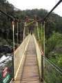 1218_Alexandra_suspension_bridge