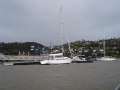 1236_Tamar_river